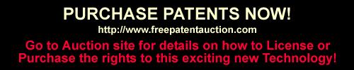 Payback Patent Auction